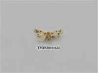 藏品(夜蛾619)的圖片